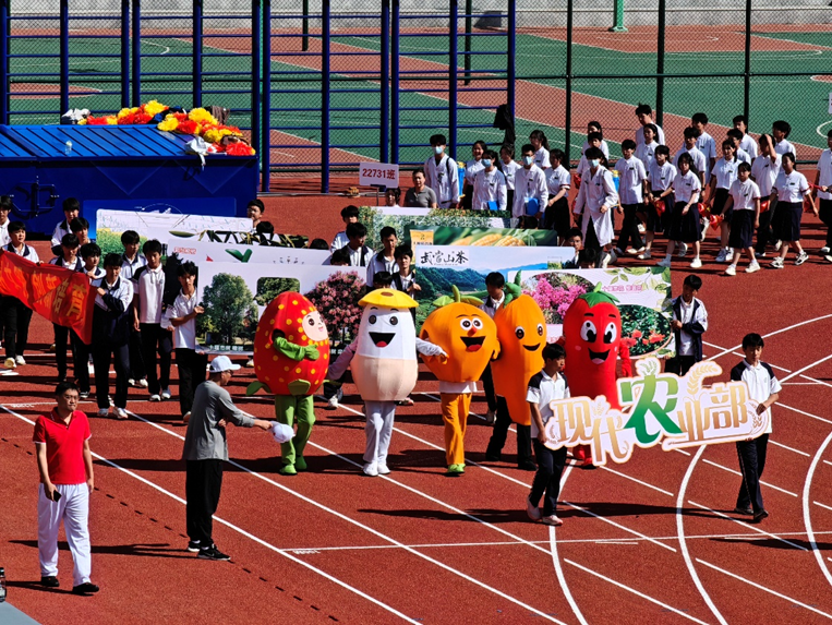 0ec1b612fb07120644ad26724d8f3e88.png
